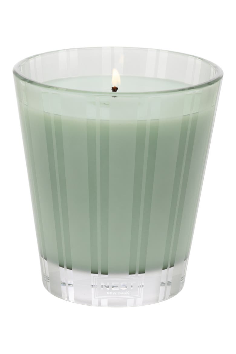 Wild Mint & Eucalyptus Scented Classic Candle, Main, color, NO COLOR