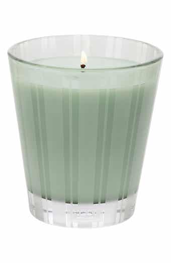 NEST New York Wild Mint & Eucalyptus Scented Classic Candle