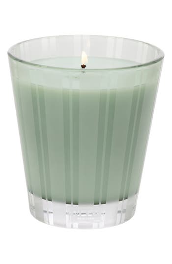 Nest New York Wild Mint & Eucalyptus Scented Classic Candle In No Color