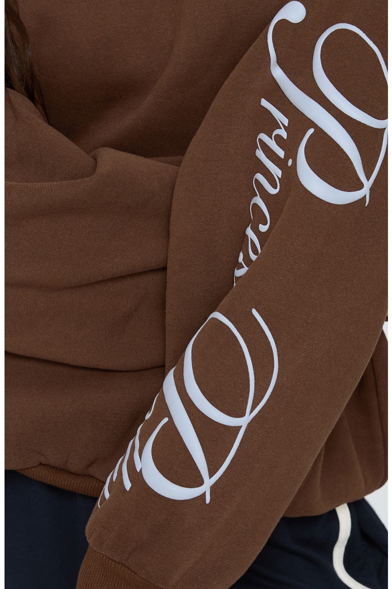 Script Logo Graphic Hoodie, Alternate, color, BROWN / BLUE