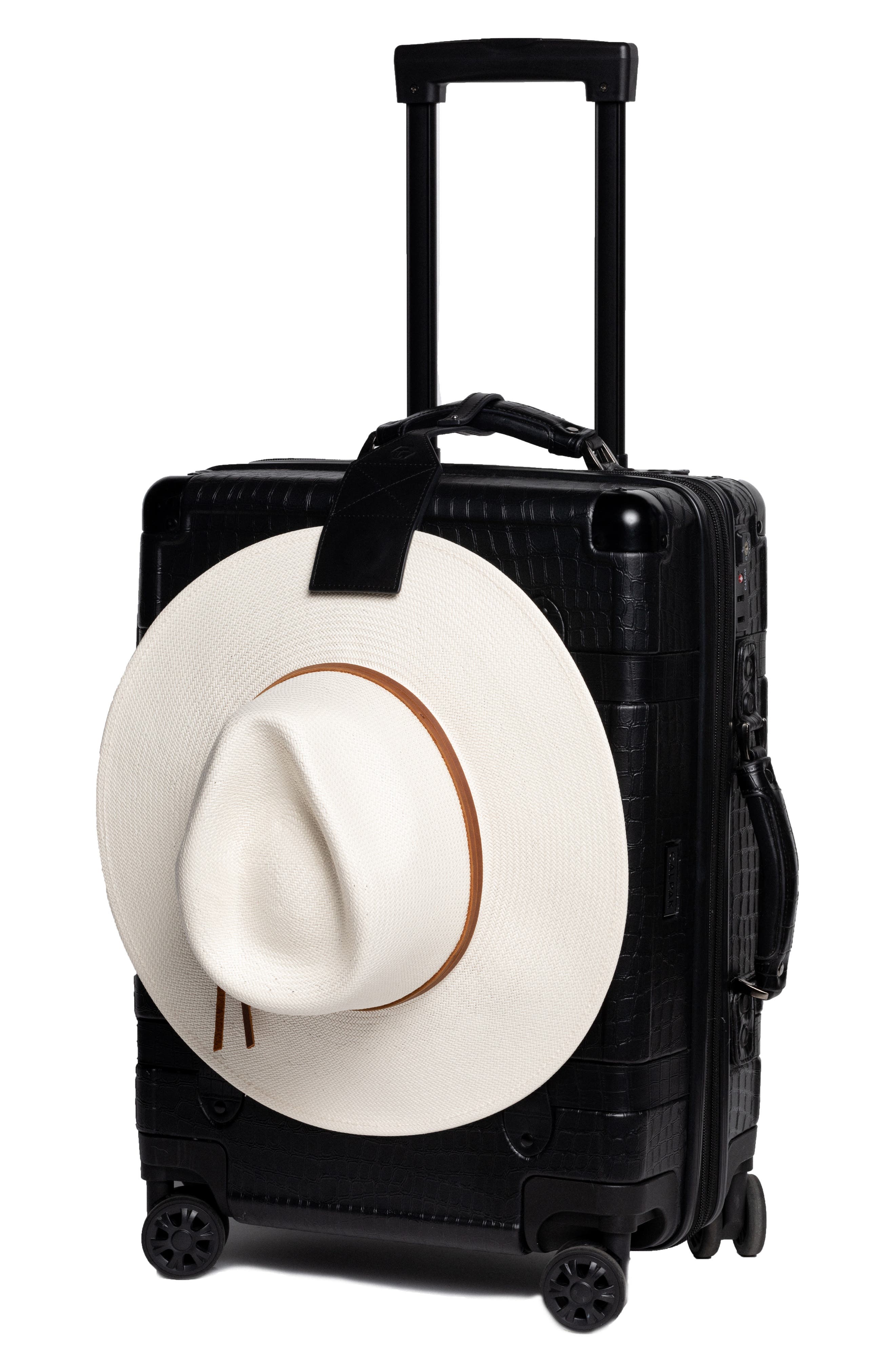 Lindsay Albanese TOPTOTE Leather Hat Holder, Alternate, color, 