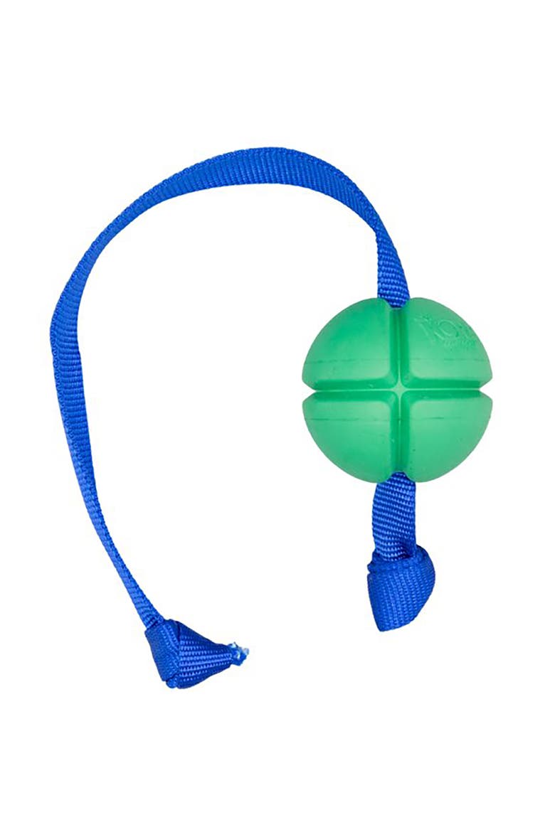 FloTex Tug, Medium, 2.5 Inch, Green, Rubber Dog Toy, Alternate, color, Green