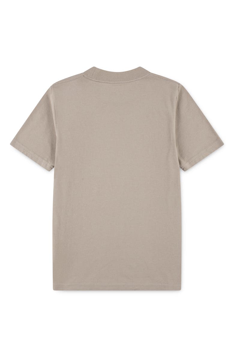 abercrombie kids Kids' Nomad Graphic T-Shirt, Alternate, color, Simply Taupe