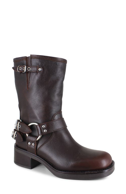 Zigi Marce Moto Bootie In Brown
