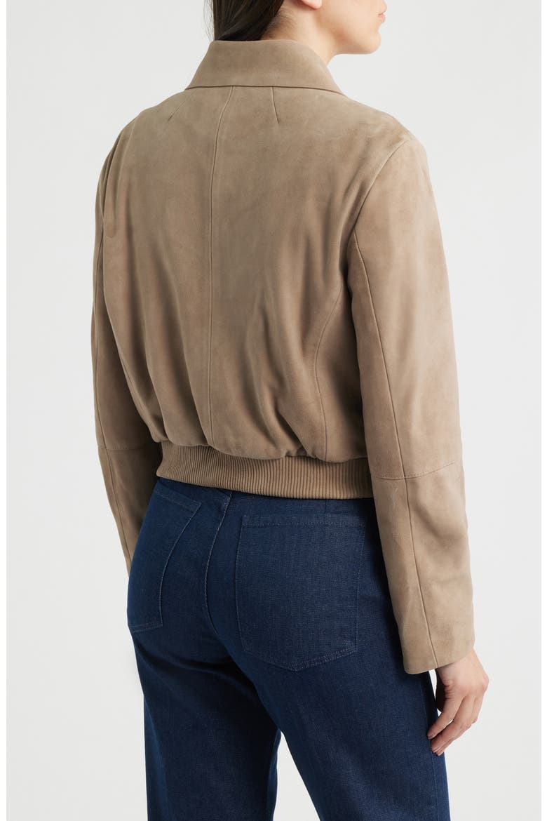 Salene Suede Jacket, Alternate, color, BASALT
