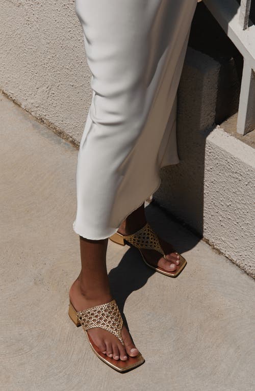 ANDREA GOMEZ ANDREA  GOMEZ BRENDA SANDAL