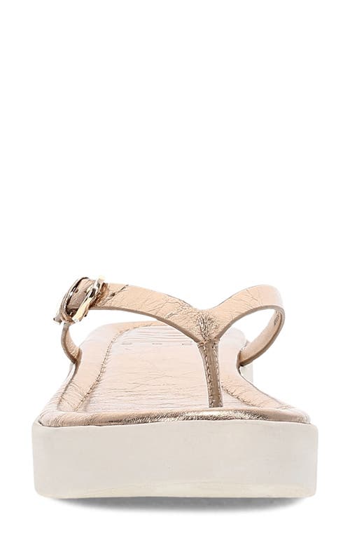 Frye Maya Buckle Platform Flip Flop In Dark Gold