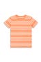  Goldfish White Stripe