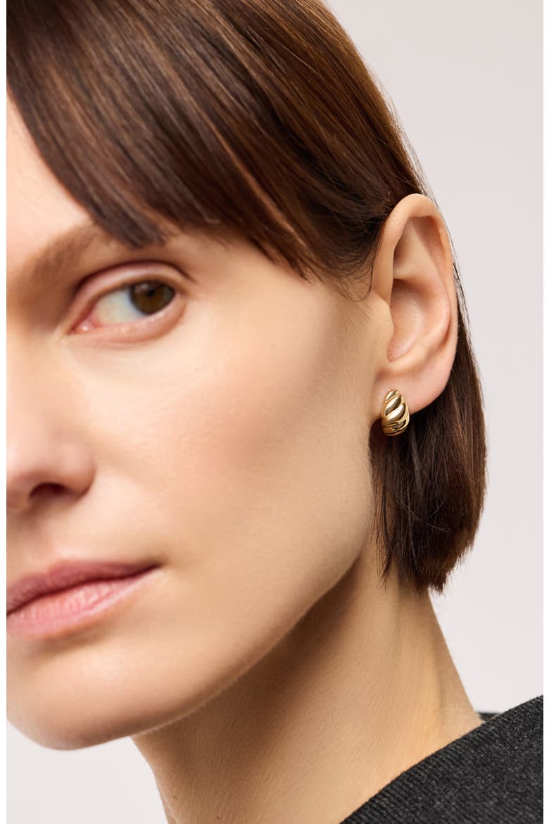 Solid Yellow Gold - Rope Huggie Studs, Alternate, color, Gold