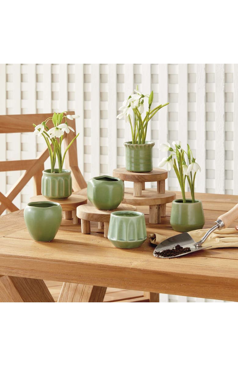 Napa Home & Garden DEZIE MINI POTS Set of 6, Alternate, color, Green