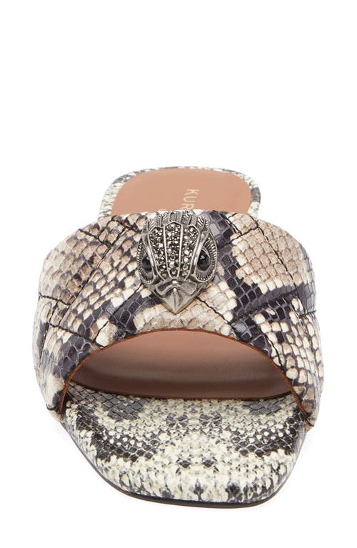 Kurt Geiger London Kensington Snakeskin Embossed Slide Sandal In Multi