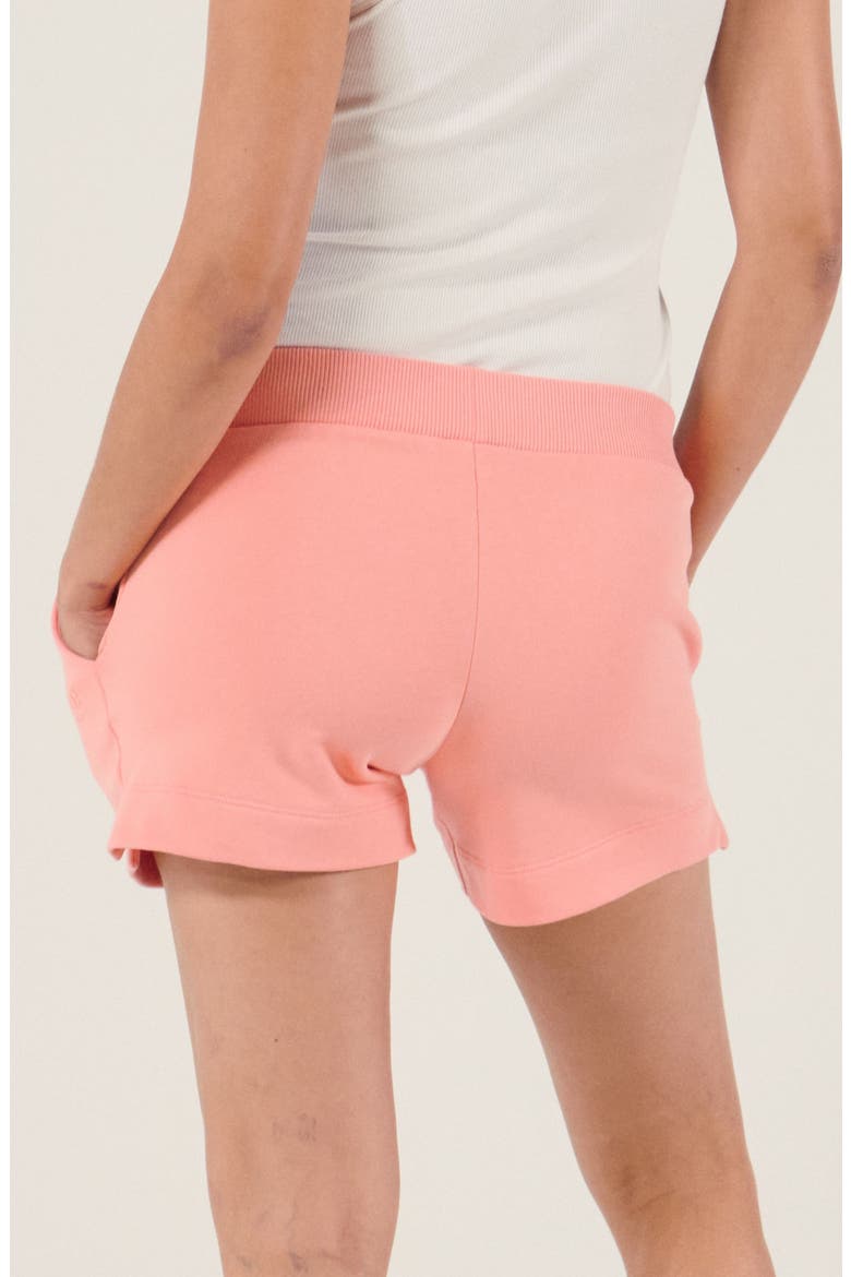 Maternity Shorts Coconut, Alternate, color, Apricot
