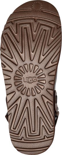 Goldenstar Clog