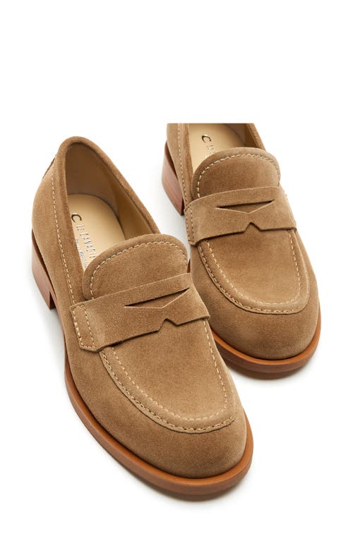 La Canadienne Dominic Penny Loafer In Biscotti Suede