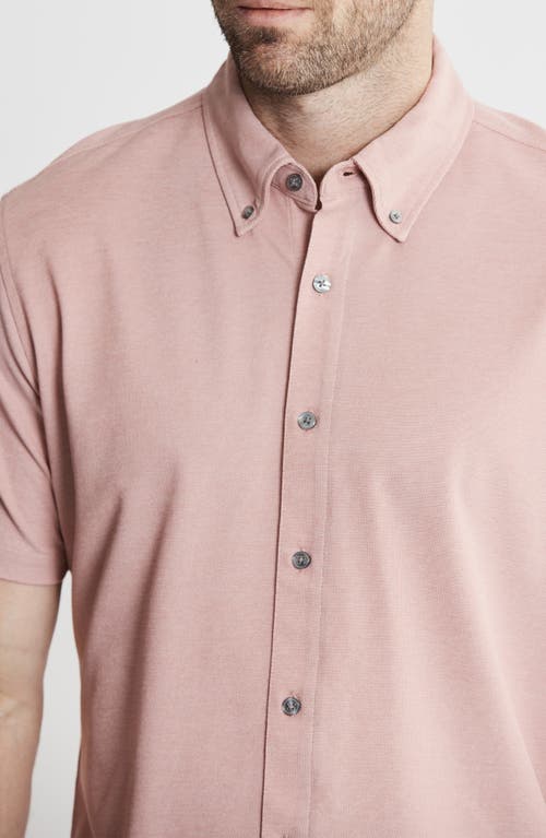Jachs Short Sleeve Stretch Oxford Button-up Shirt