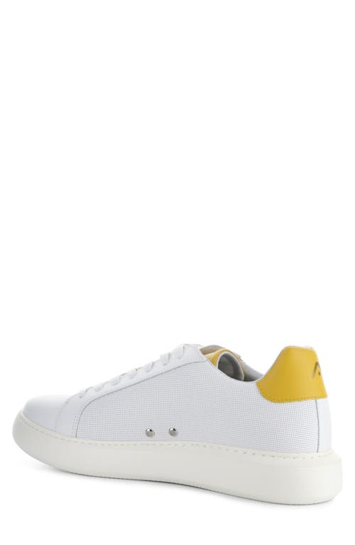 AMBITIOUS AMBITIOUS 10634A LOW TOP SNEAKER 