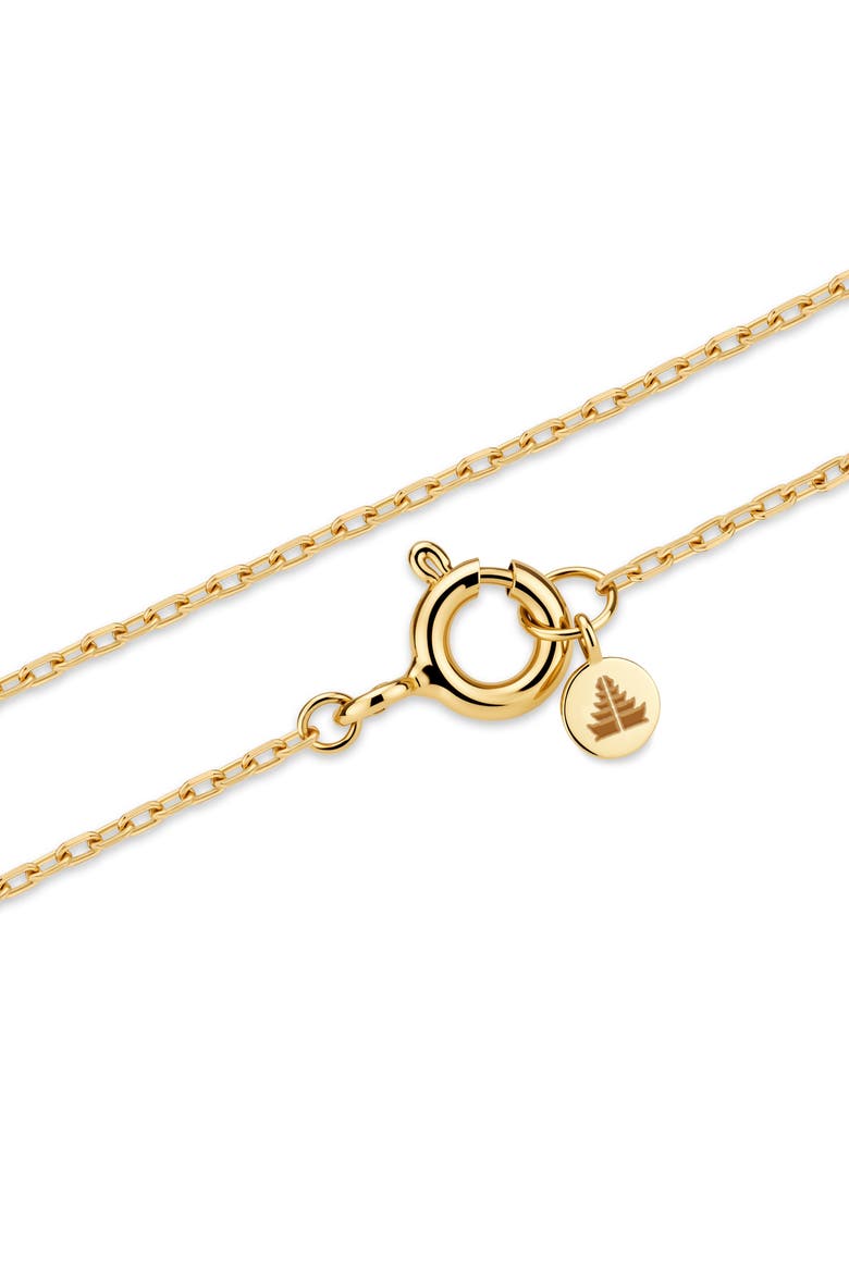 Cable Chain Necklace in 14K Gold, Alternate, color, Gold