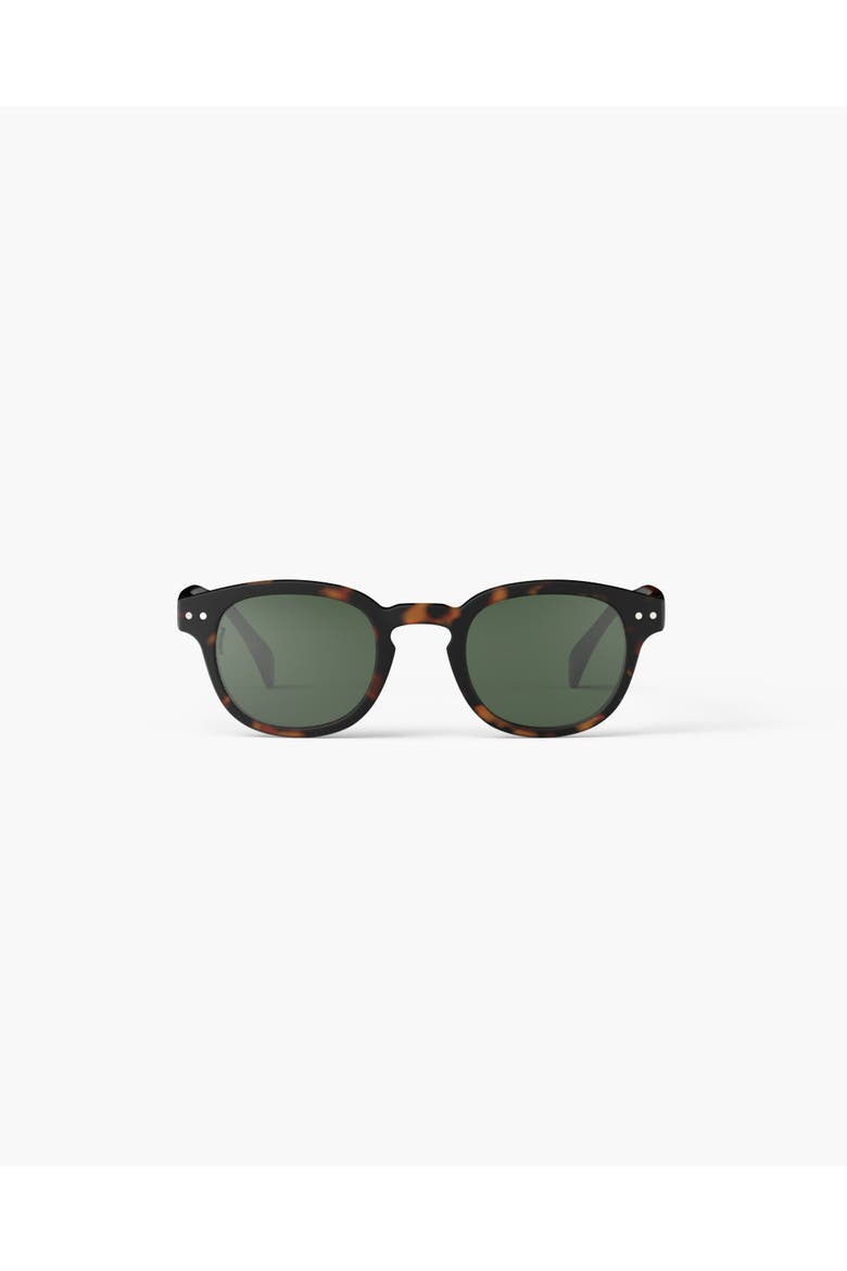 #C Tortoise, Alternate, color, Tortoise