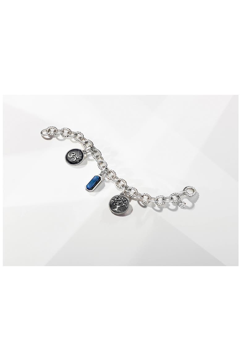 Cable Collectives Oval Link Charm Bracelet, Alternate, color, SILVER