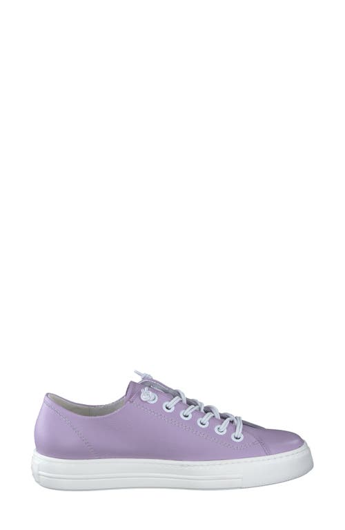 Paul Green Hadley Platform Sneaker In Lavendar Leather