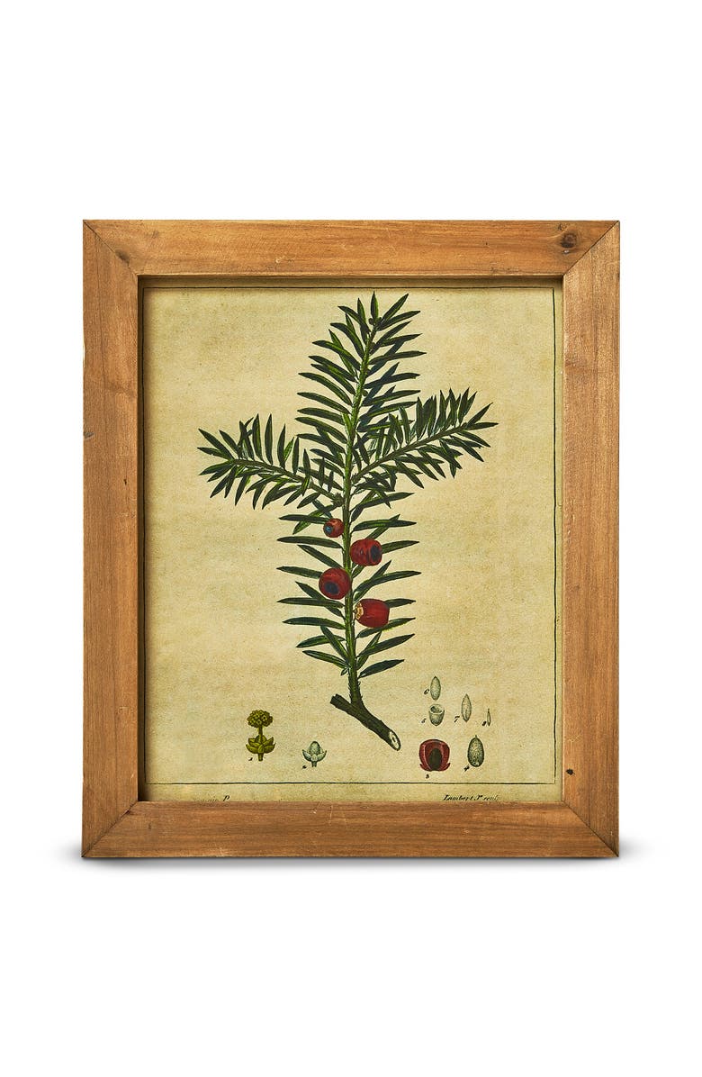 tag Pine Berry Vintage Wall Art - Colorful Wooden Decor, Main, color,