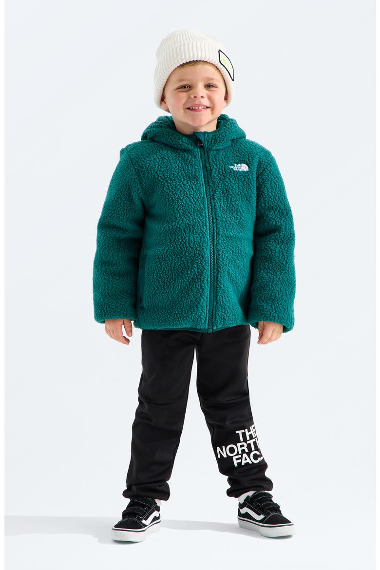 Kids' Shasta Water Repellent Reversible Hooded Jacket, Alternate, color, SLATE MOSS/ PACIFIC TEAL