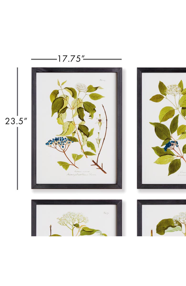 Napa Home & Garden 17.75"W x 0.75"D x 23.5"H Floral And Berry Study Framed Wall Art Frame Set of 4, Alternate, color, Black