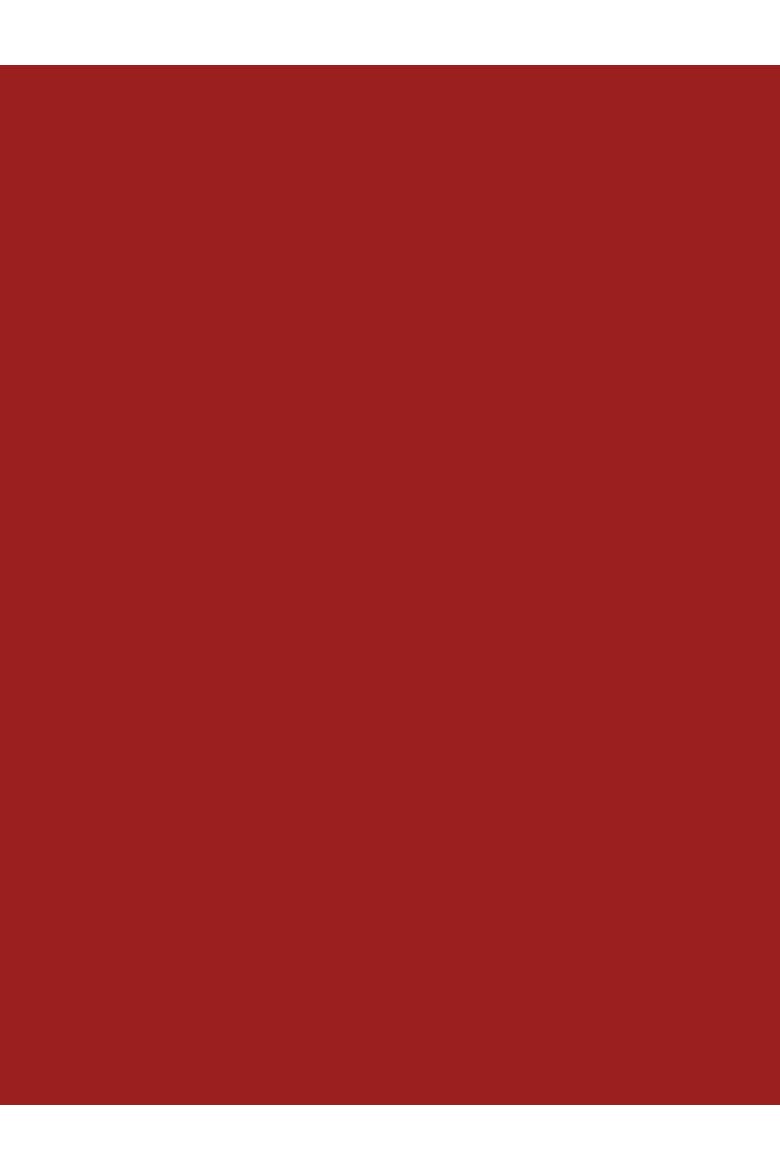 Geelong Wool Slouch Turtleneck Sweater, Alternate, color, PILLARBOX RED