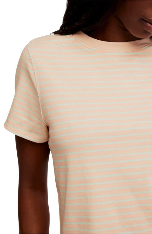 Free People Everyday Stripe Cotton T-shirt In Tropical Beach Combo