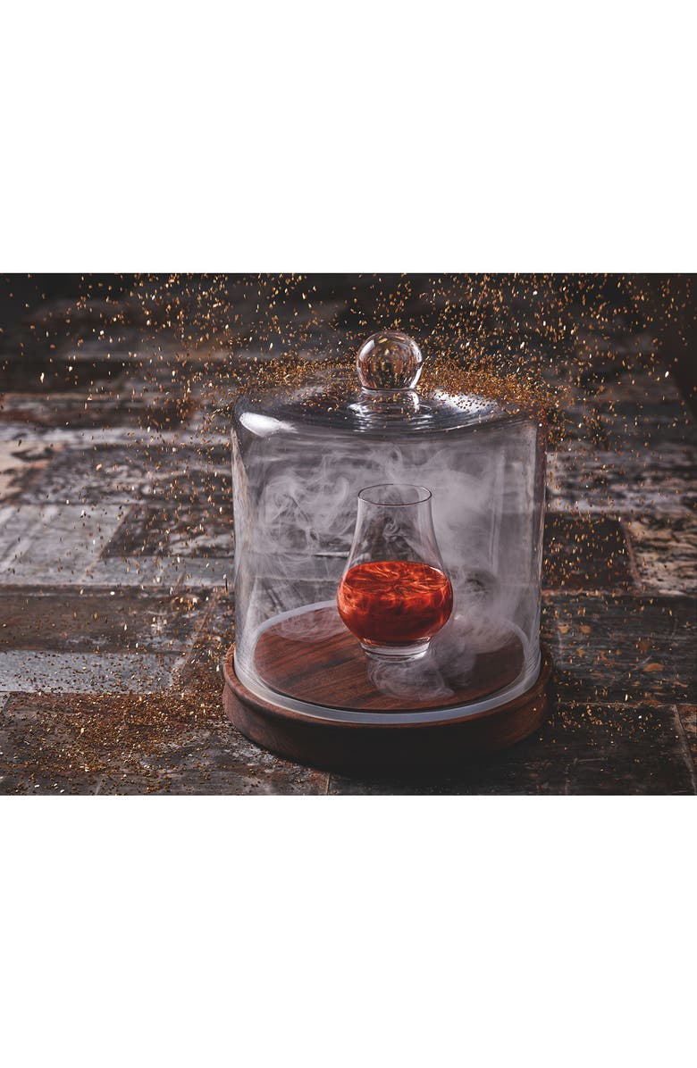 Schott Zwiesel Bar Special Set of 6 Stemless Whiskey Glasses, Alternate, color, Clear