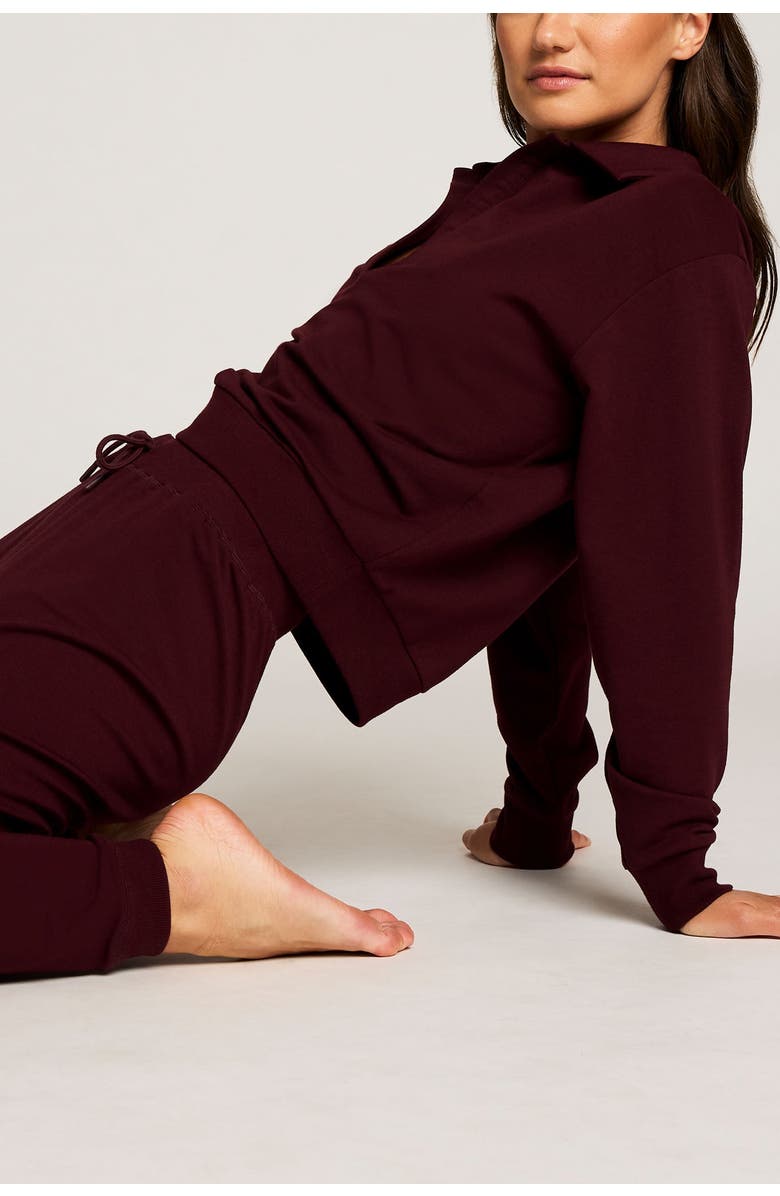 Negative Underwear Club pullover, Alternate, color, Garnet