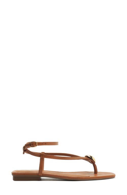 Arezzo Zuri Ankle Strap Sandal In Jungle Nut