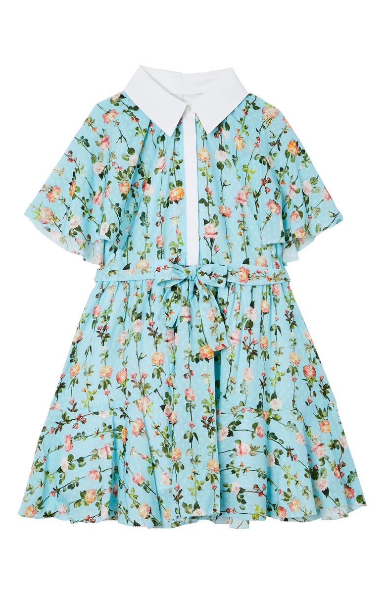 Burberry Kids' Mini Valerie Floral Print Cape Sleeve Dress, Main, color,