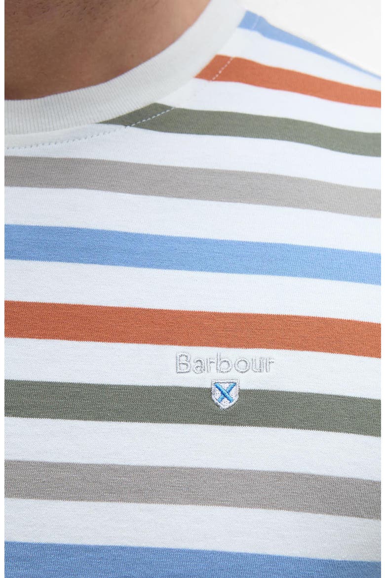 Rokeby Stripe Cotton T-Shirt, Alternate, color, WHISPER WHITE