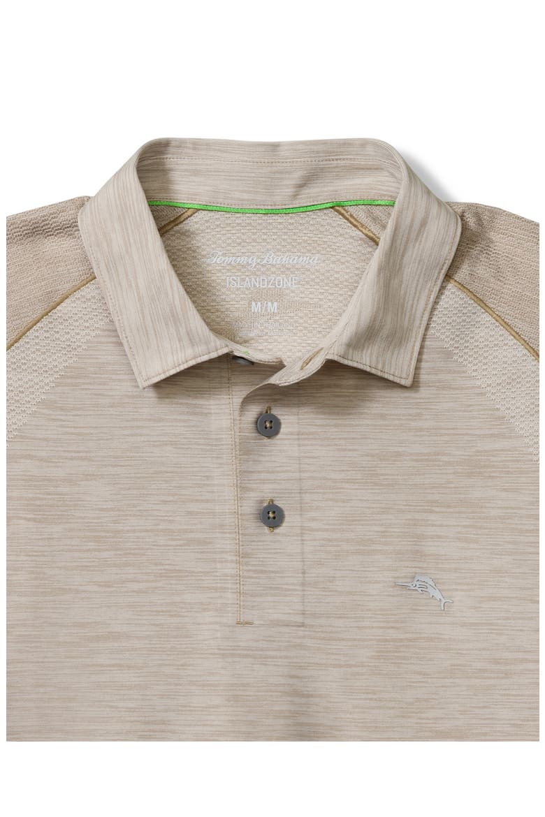 Palm Coast Pro Solid Polo, Alternate, color, COBBLESTONE