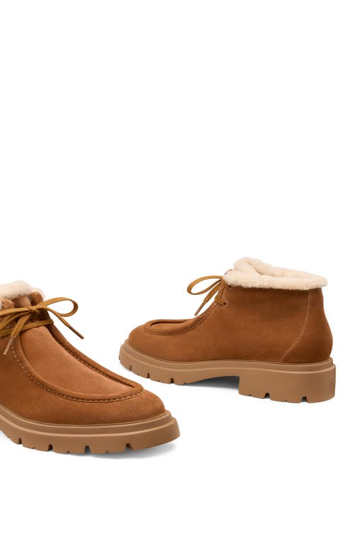 Stuart Weitzman Hudson Shearling-trimmed Suede Ankle Boots In Brown