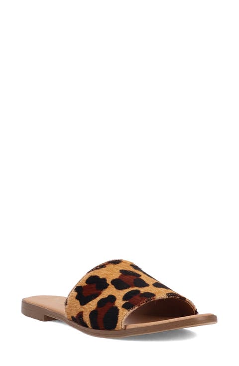 Women's Dingo Mules & Slides | Nordstrom