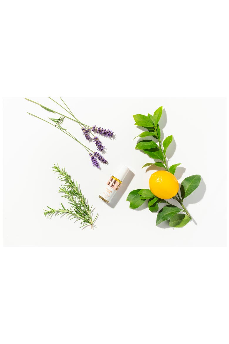 CBD Luxury Body Oil, Alternate, color, NO COLOR