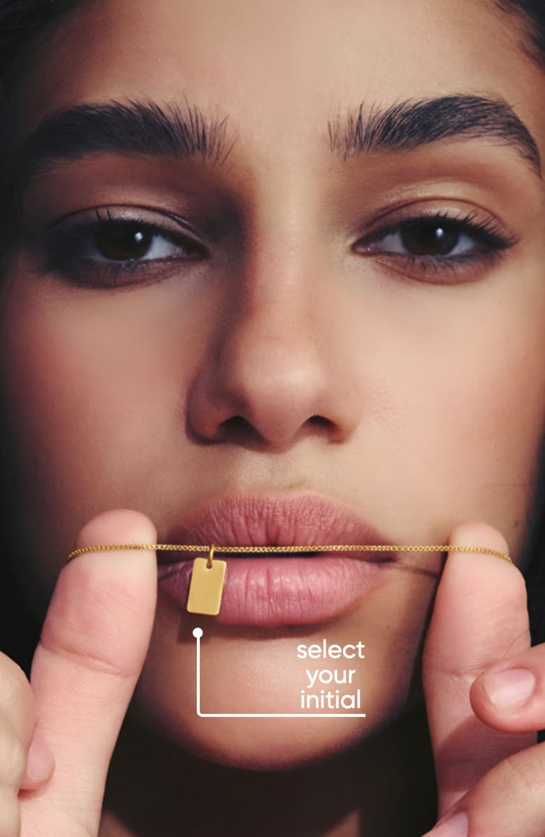 Oak & Luna Willow Initial Tag Necklace - 18K Gold Plated Silver, Alternate, color, Letter F