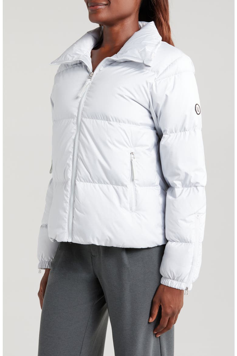 Hillside Down Jacket, Alternate, color, FROST GREY