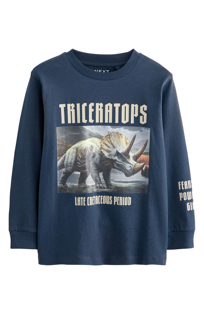 NEXT Kids' 3-Pack Assorted Long Sleeve Cotton Graphic T-Shirts, Alternate, color, Multi