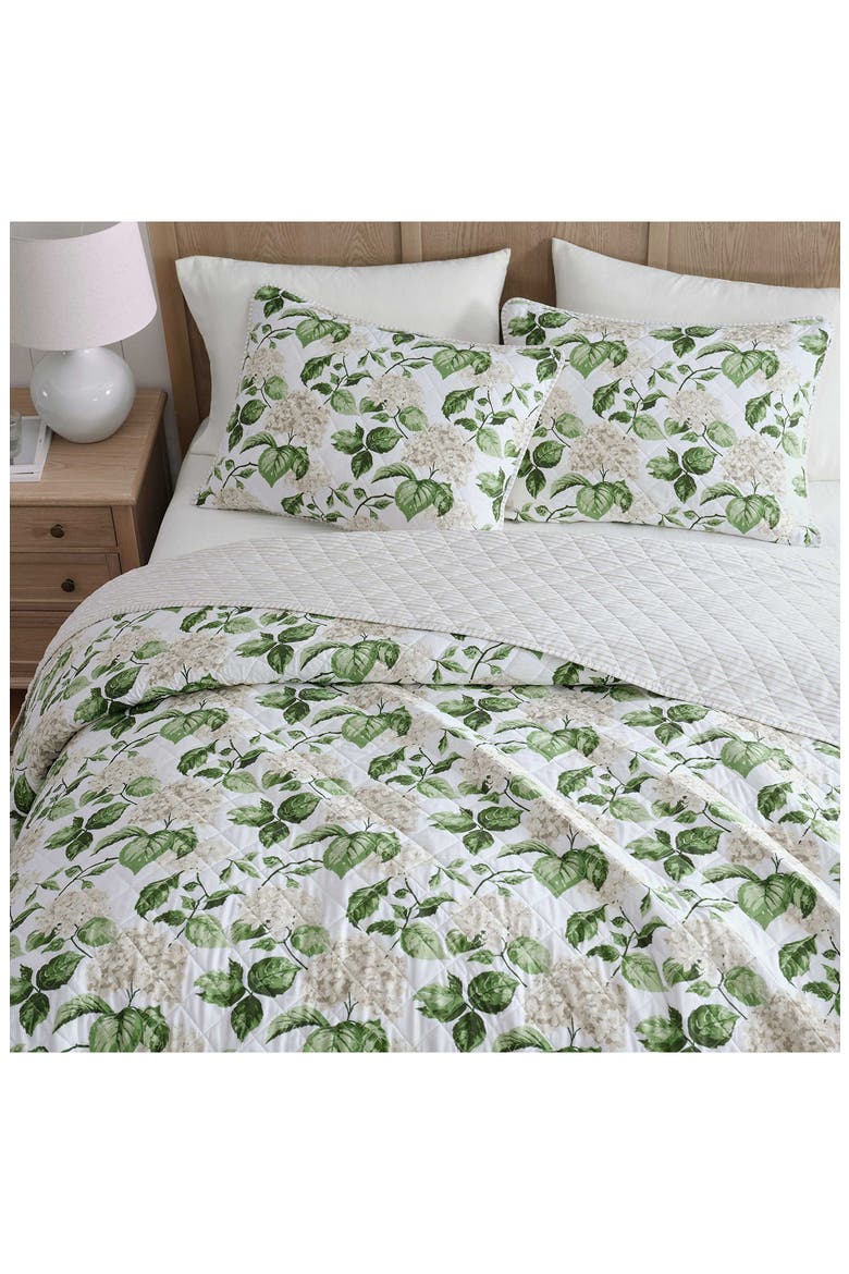 Hydrangea Floral Cotton Percale Quilt & Shams Set, Alternate, color, WHITE/ TAUPE