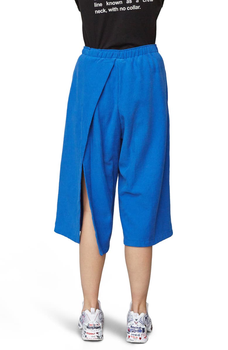 VETEMENTS x Champion Back Slit Shorts, Alternate, color,