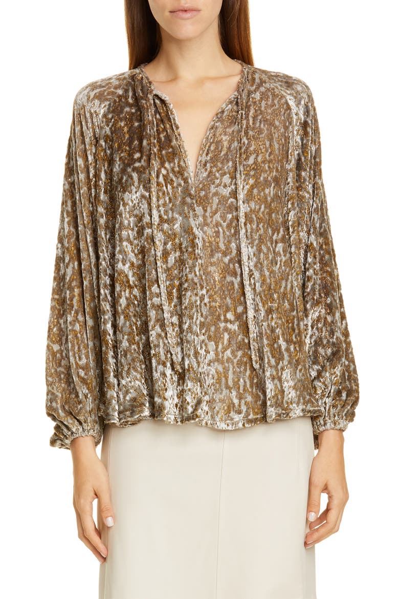 Embroidered Velvet Balloon Sleeve Top, Main, color, GOLD