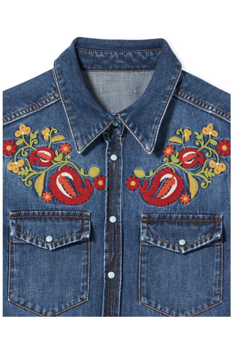 Brigitter Embroidered Denim Shirt, Alternate, color, MULTICOLOR