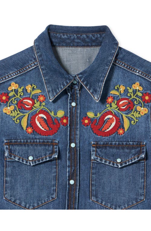 Fortela Brigitter Embroidered Denim Shirt In Multi