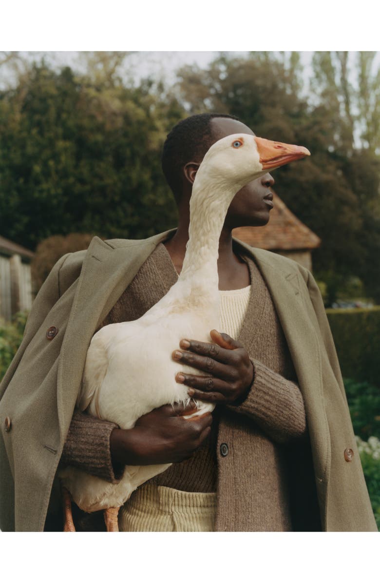 Jo Malone London<sup>™</sup> Huntsman Savile Row Assam & Grapefruit Cologne, Alternate, color,