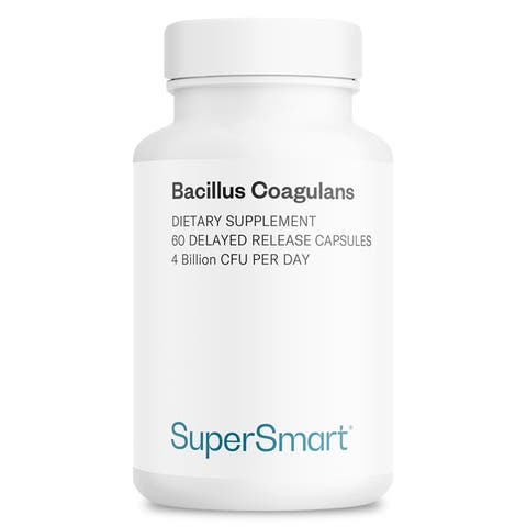 Bacillus Coagulans Probiotic
