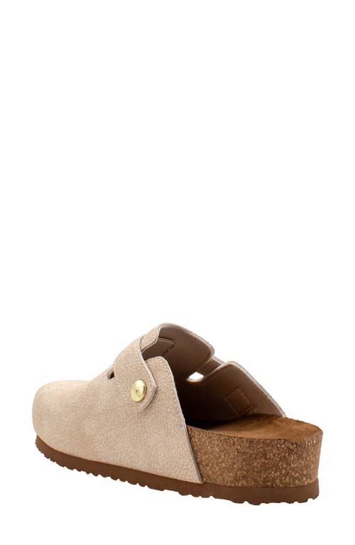 Volatile Pumpkin Clog In Brown