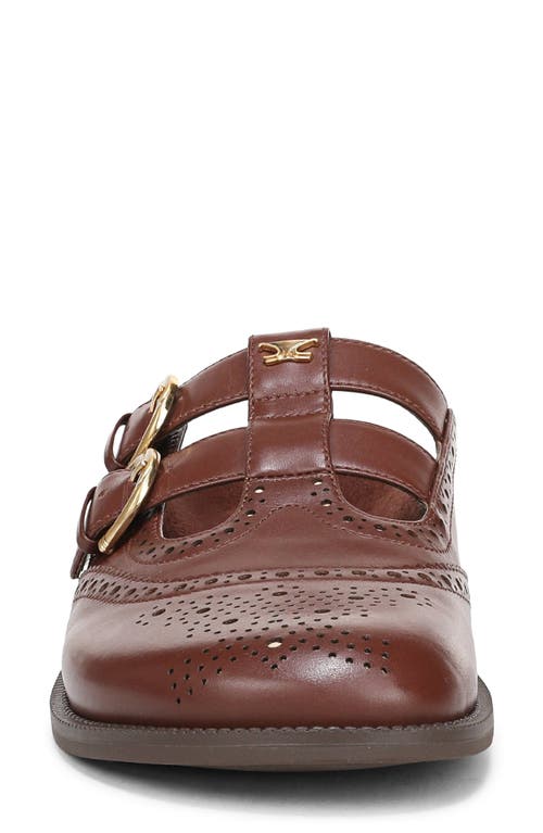 Circus Ny By Sam Edelman Claudia Mule In Brown